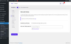 Page screenshot: SEO → Analytics → Clarity