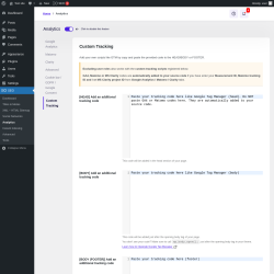 Page screenshot: SEO → Analytics → Custom Tracking