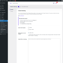 Page screenshot: SEO → Instant Indexing