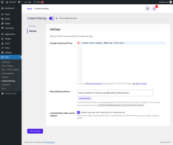 Page screenshot: SEO → Instant Indexing → Settings