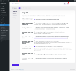 Page screenshot: SEO → Advanced