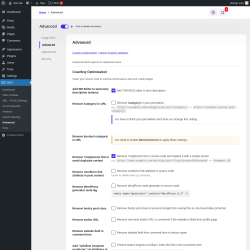 Page screenshot: SEO → Advanced → Advanced