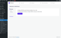 Page screenshot: Wizard ‹ Test site — WordPress