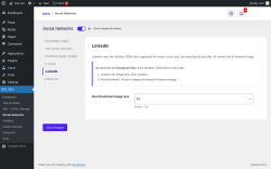 Page screenshot: SEO → Social Networks → LinkedIn