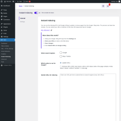 Page screenshot: SEO → Instant Indexing
