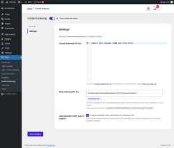 Page screenshot: SEO → Instant Indexing → Settings