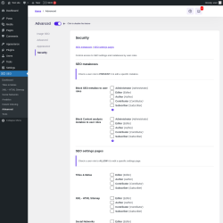 Page screenshot: SEO → Advanced → Security