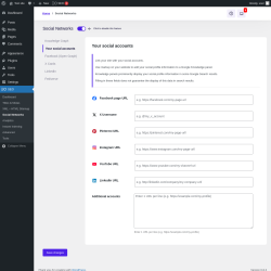 Page screenshot: SEO → Social Networks → Your social accounts