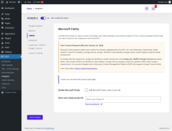 Page screenshot: SEO → Analytics → Clarity