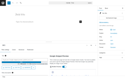 Page screenshot: Add Post ‹ Test site — WordPress