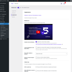 Page screenshot: SEO → Advanced → Appearance