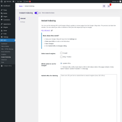 Page screenshot: SEO → Instant Indexing