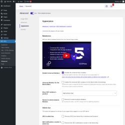 Page screenshot: SEO → Advanced → Appearance