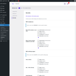 Page screenshot: SEO → Advanced → Security