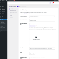 Page screenshot: SEO &rarr; Social Networks
