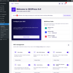 Page screenshot: SEO