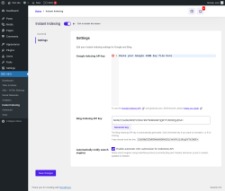 Page screenshot: SEO &rarr; Instant Indexing &rarr; Settings