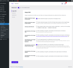 Page screenshot: SEO &rarr; Advanced