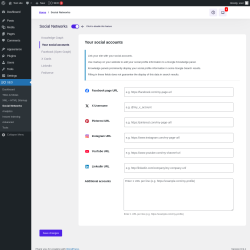 Page screenshot: SEO &rarr; Social Networks &rarr; Your social accounts