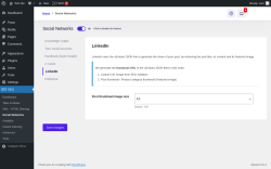 Page screenshot: SEO &rarr; Social Networks &rarr; LinkedIn