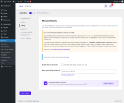 Page screenshot: SEO &rarr; Analytics &rarr; Clarity