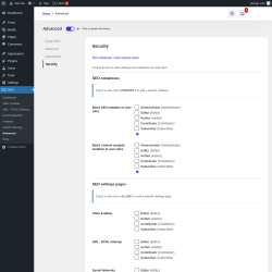 Page screenshot: SEO &rarr; Advanced &rarr; Security