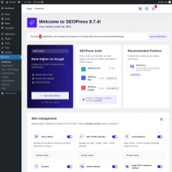 Page screenshot: SEO