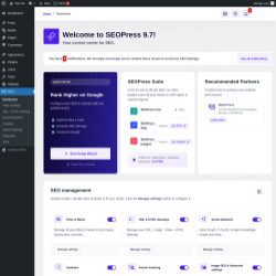 Page screenshot: SEO
