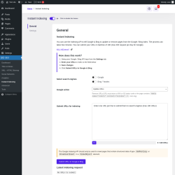 Page screenshot: SEO &rarr; Instant Indexing