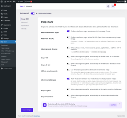 Page screenshot: SEO &rarr; Advanced