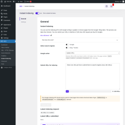 Page screenshot: SEO &rarr; Instant Indexing