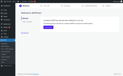 Page screenshot: Wizard &lsaquo; Test site &mdash; WordPress