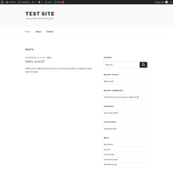 Page screenshot: Test site