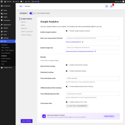 Page screenshot: SEO &rarr; Analytics