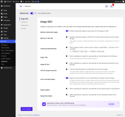 Page screenshot: SEO &rarr; Advanced