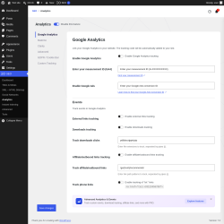 Page screenshot: SEO &rarr; Analytics