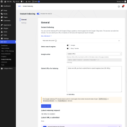 Page screenshot: SEO &rarr; Instant Indexing