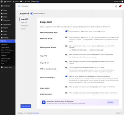 Page screenshot: SEO &rarr; Advanced