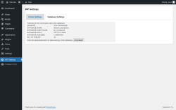 Page screenshot: WP Settings &rarr; Database Settings