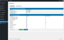 Page screenshot: WP Settings &rarr; Database details