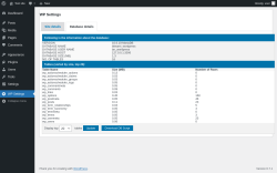 Page screenshot: WP Settings &rarr; Database details