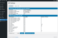 Page screenshot: WP Settings &rarr; Database details