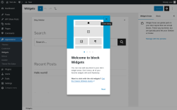 Page screenshot: Widgets &lsaquo; Test site &mdash; WordPress