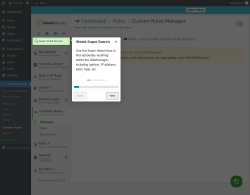 Page screenshot: Shield Security → Custom Rules