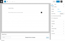 Page screenshot: Add New Post &lsaquo; Test site &mdash; WordPress