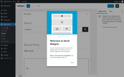 Page screenshot: Widgets &lsaquo; Test site &mdash; WordPress