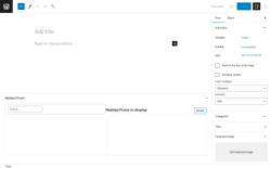 Page screenshot: Add New Post &lsaquo; Test site &mdash; WordPress