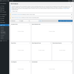Page screenshot: Slimstat &rarr; Site Analysis