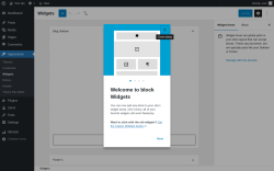 Page screenshot: Widgets &lsaquo; Test site &mdash; WordPress