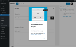 Page screenshot: Widgets &lsaquo; Test site &mdash; WordPress